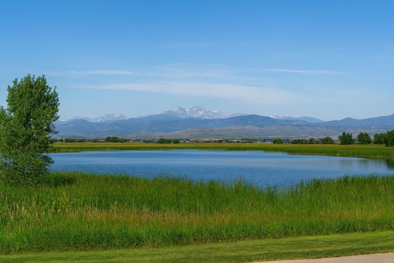 Hero for Home Services Options