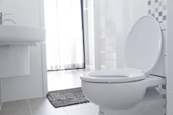 Cost of Toilet Relocation in Greeley